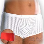 Shorts 4453