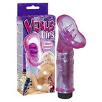 ������������ ���������� �Venus Lips�