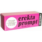 ������� ���� �Erekta prompt� 13��